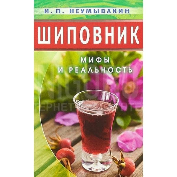 Шиповник: мифы и реальность