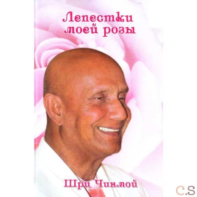 Лепестки моей розы