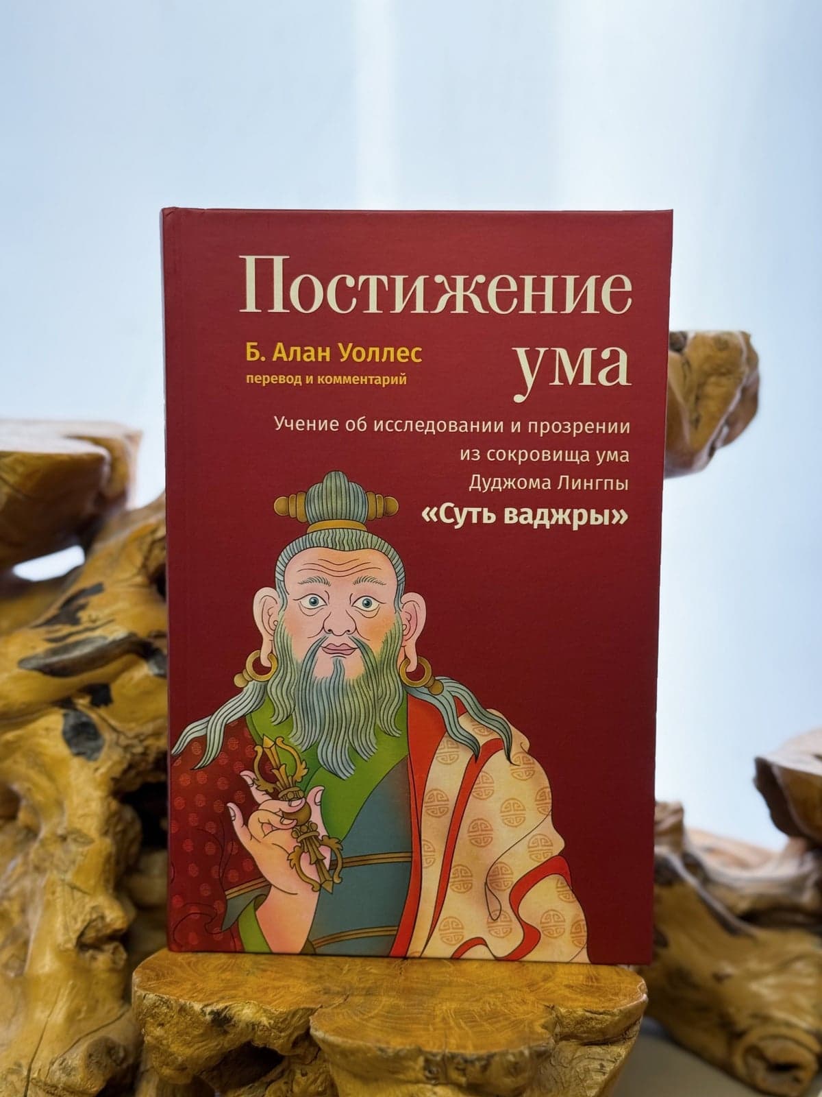 Постижение ума. Учение об исследовании и прозрении из сокровища ума Дуджома Лингпы «Суть ваджры»