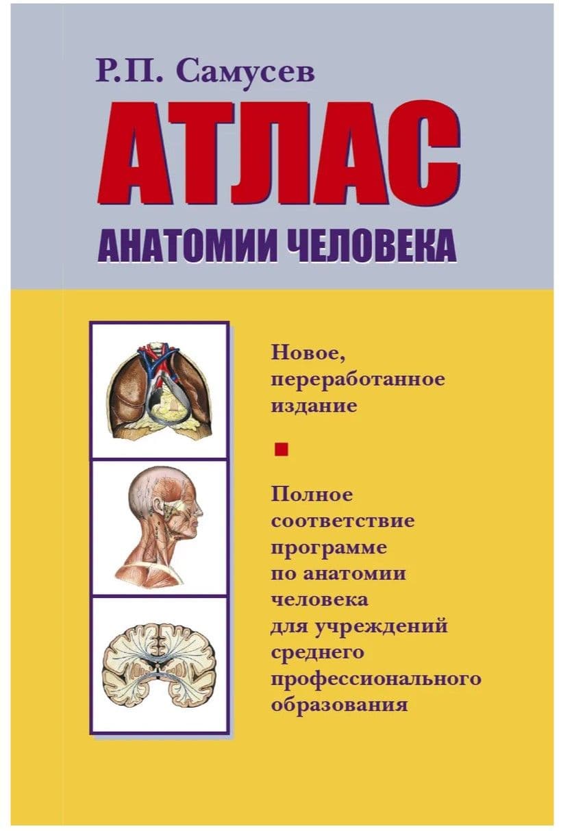 Атлас анатомии человека