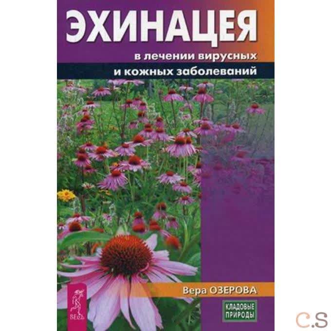 Эхинацея в лечении вирусных и кожных заболеваний