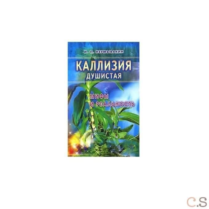 Каллизия душистая. Мифы и реальность