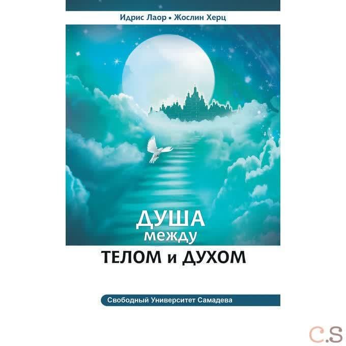 Душа между телом и духом. Фрагменты сущностной психологии