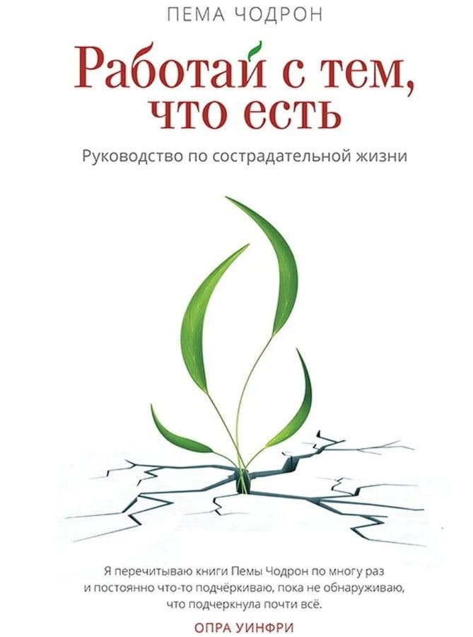 Работай с тем, что есть. Руководство по сострадательной жизни
