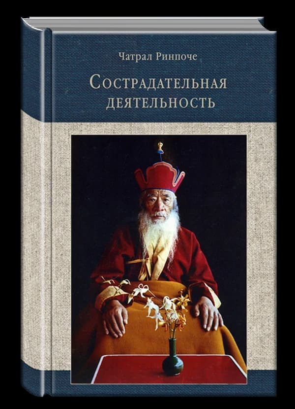 Сострадательная деятельность