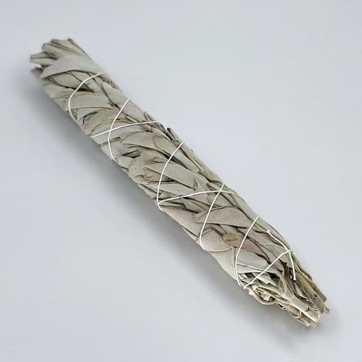 Белый Калифорнийский Шалфей 9" Moon Colibri, White Sage