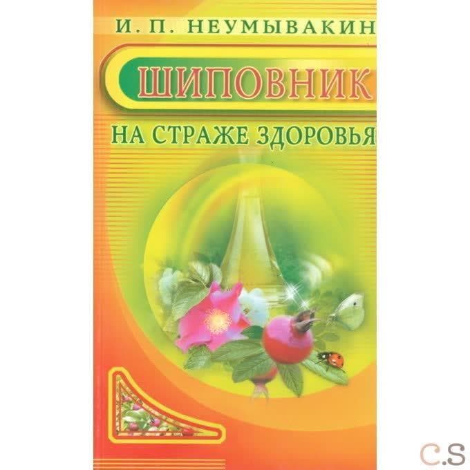 Шиповник: на страже здоровья
