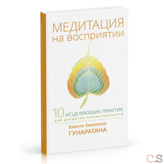 Медитация на восприятии. Десять исцеляющих практик для развития внимательности