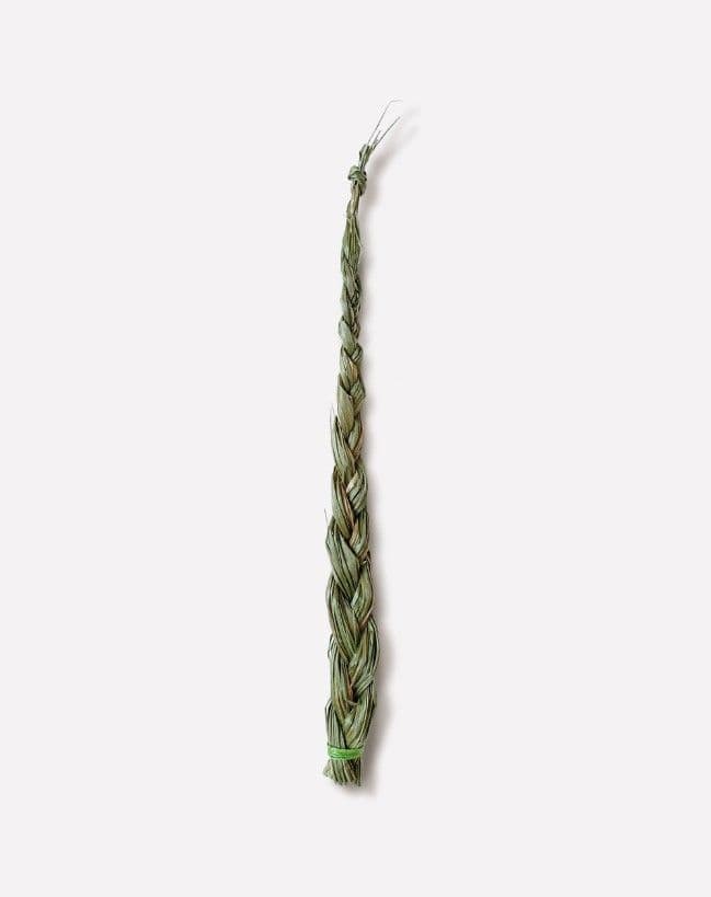 Зубровка душистая Swetgrass Mini