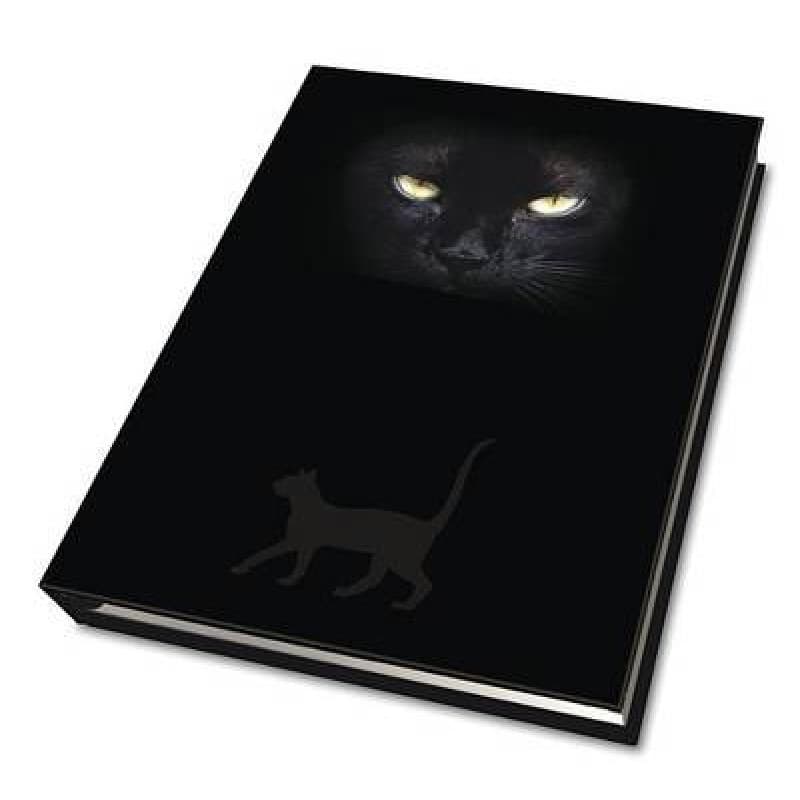 Дневник Глаза Кошки