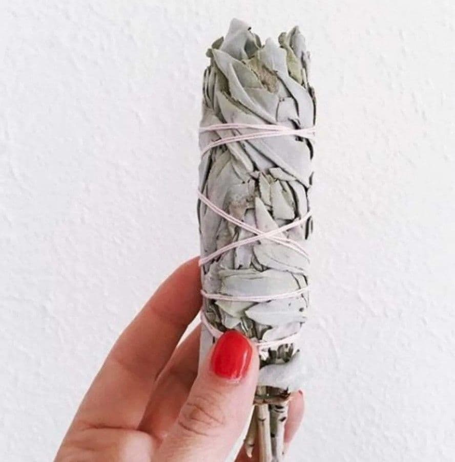 Белый Калифорнийский Шалфей. Moon Colibri (White Sage), 75-80 грамм.