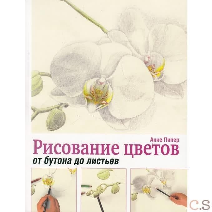 Рисование цветов от бутона до листьев