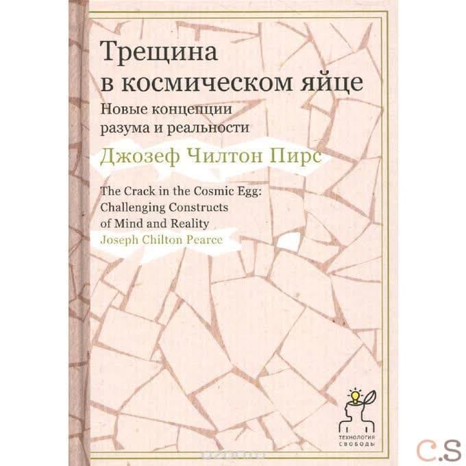 Трещина в космическом яйце. Новые концепции разума и реальности