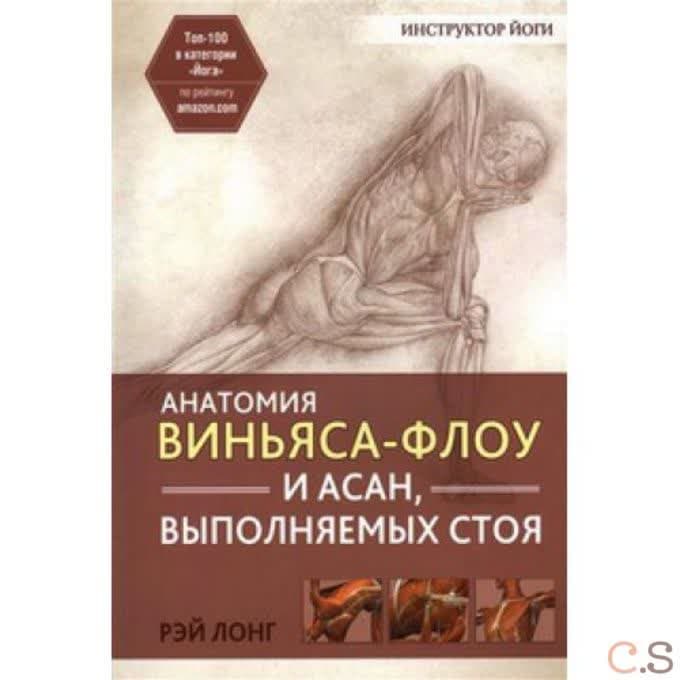 Анатомия виньяса-флоу и асан, выполняемых стоя