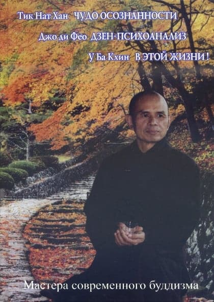 Чудо осознанности. Дзен-психоанализ. В этой Жизни