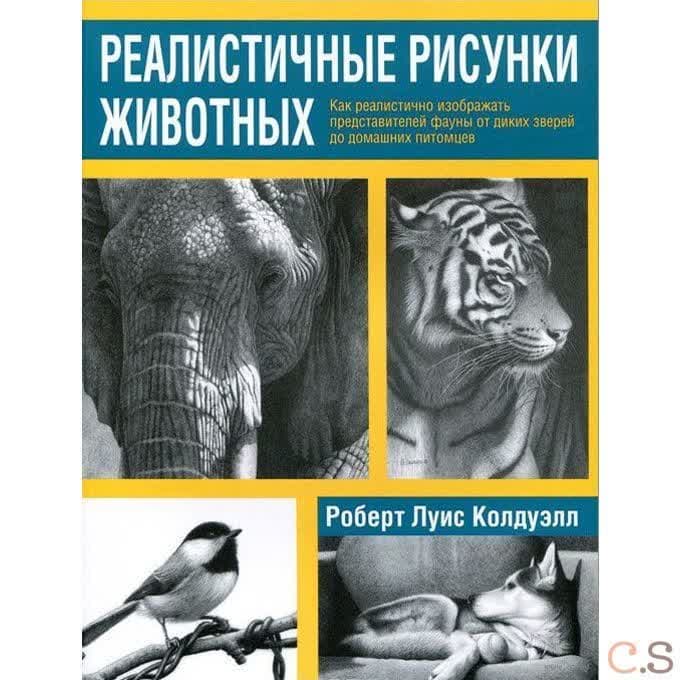 Реалистичные рисунки животных. Как ралистично изображать представителей фауны от диких зверей до дом