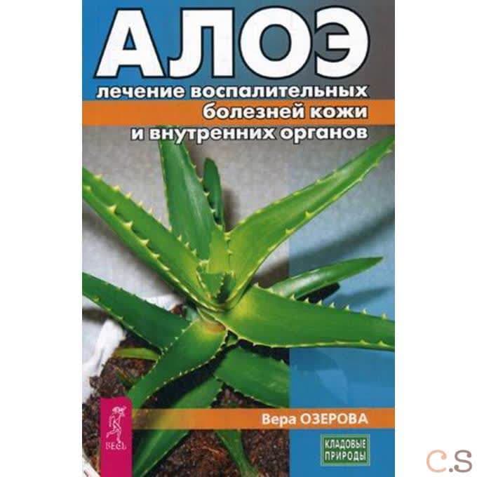 Алое: лечение воспалительных болезней кожи и внутренних органов