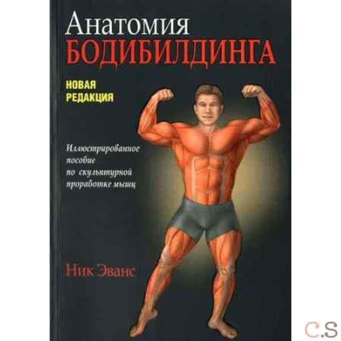Анатомия бодибилдинга