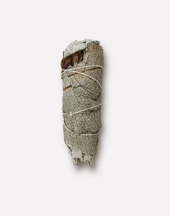 Белый Калифорнийский Шалфей с Йерба Сантой Moon Colibri (White Sage)