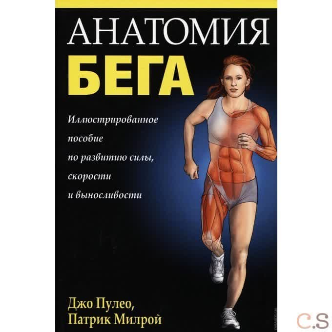 Анатомия бега.