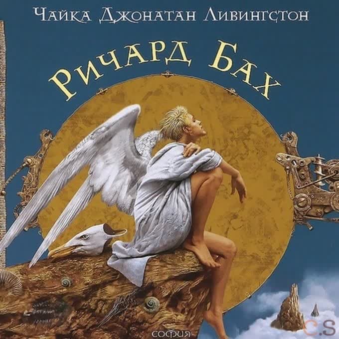 Чайка Джонатан Ливингстон .... Подарочная упаковка
