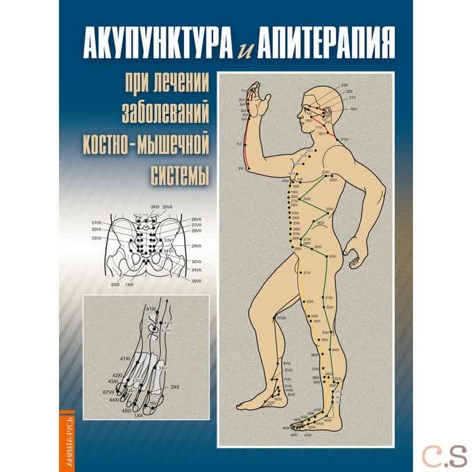 Акупунктура и апитерапия при лечении заболеваний костно-мышечной системы. Практическое руководство
