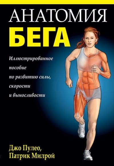 Анатомия бега