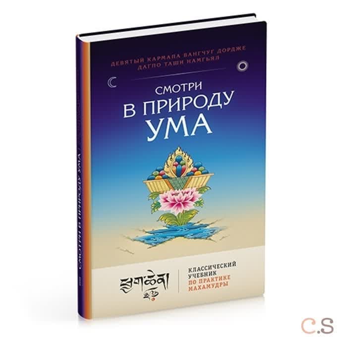 Смотри в природу ума. Классический учебник по практике Махамудры