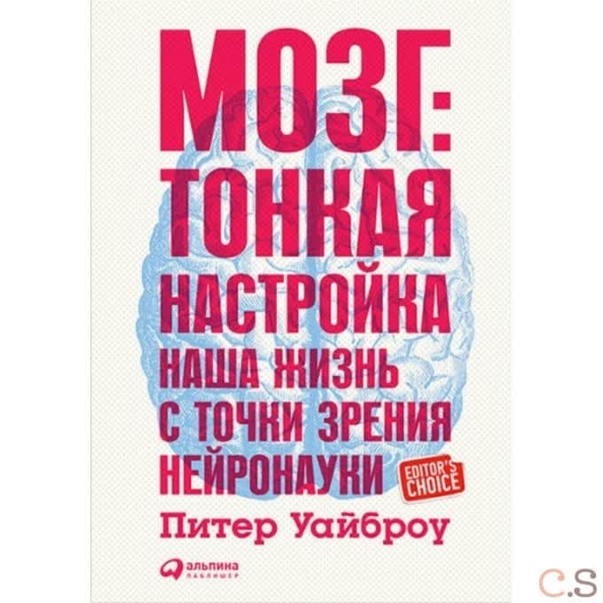 Мозг. Тонкая настройка. Наша жизнь с точки зрения нейронауки