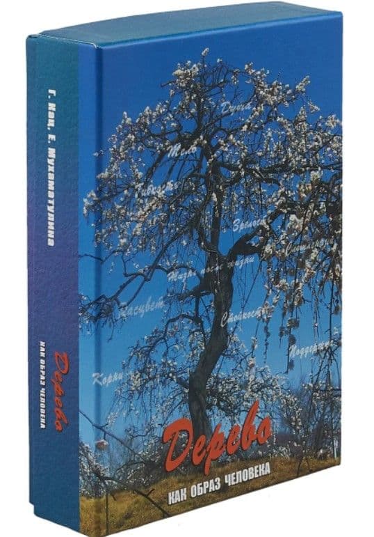 Дерево как образ человека (3345)