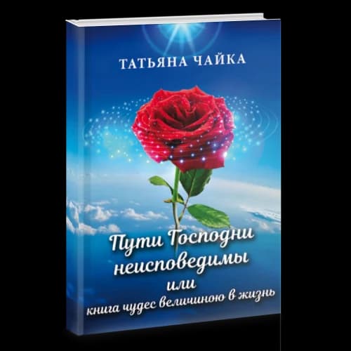 Пути Господни неисповедимы или книга чудес величиною в жизнь