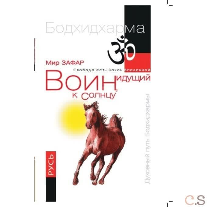 Воин, идущий к Солнцу. Русь. Реки и горы Бодхидхармы. Книга 3. «Солнце ариев»