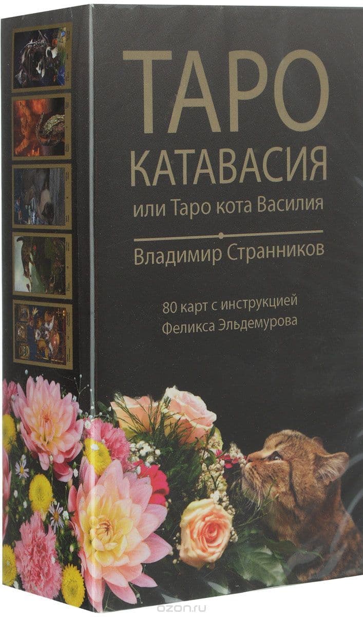 Таро Катавасия или Таро кота Василия