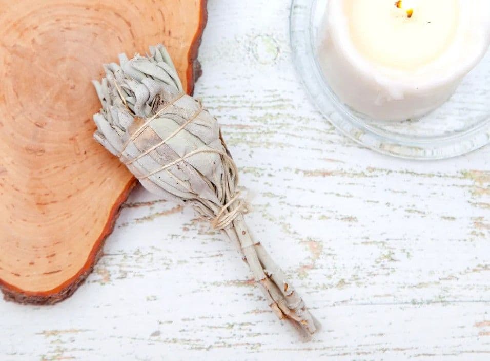 Белый Калифорнийский Шалфей Moon Colibri, White Sage TORCH