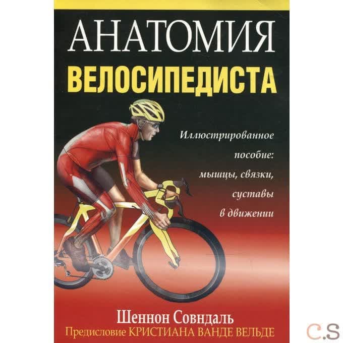 Анатомия велосипедиста