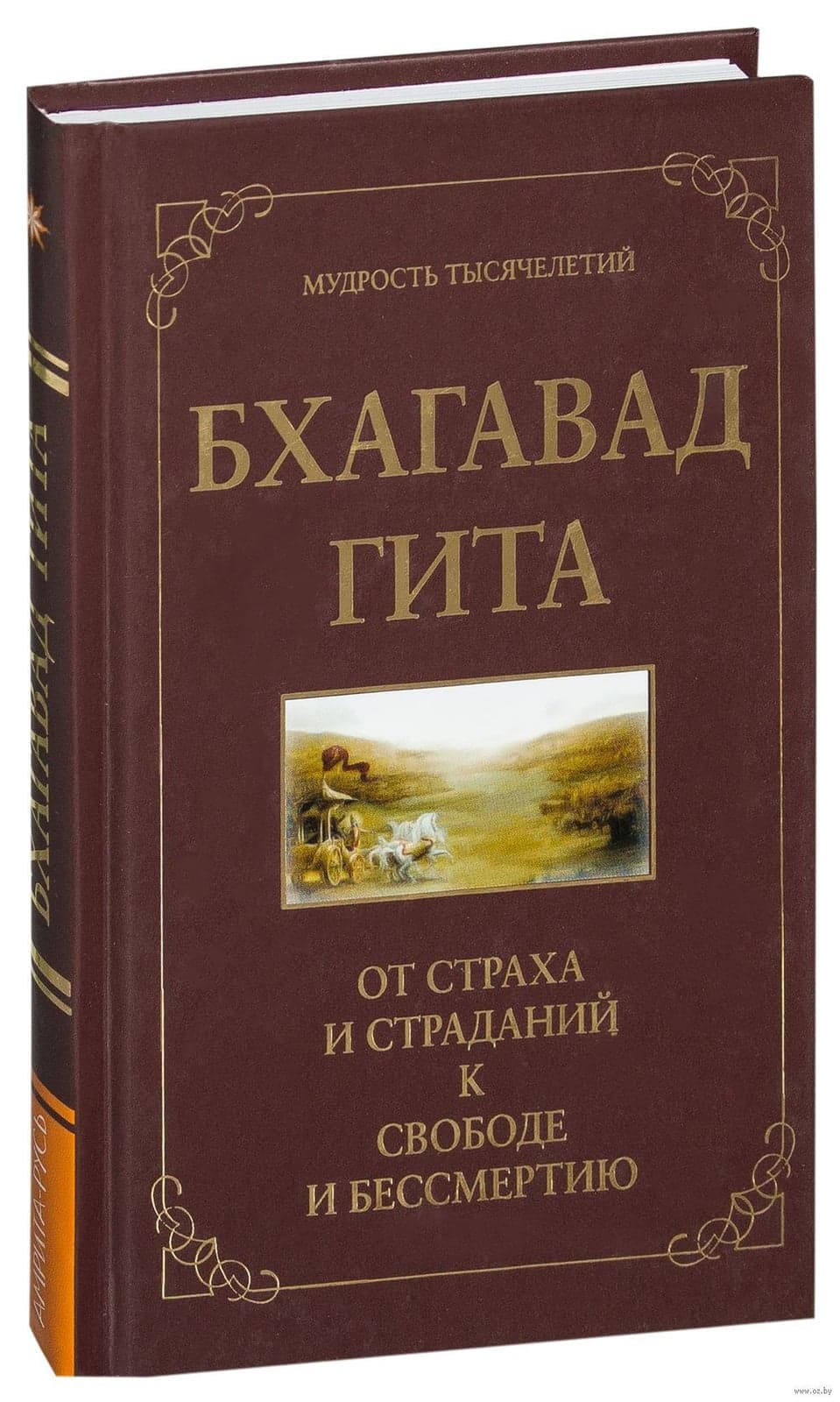 Бхагавад гита.  От страха и страданий к свободе и бессмертию.