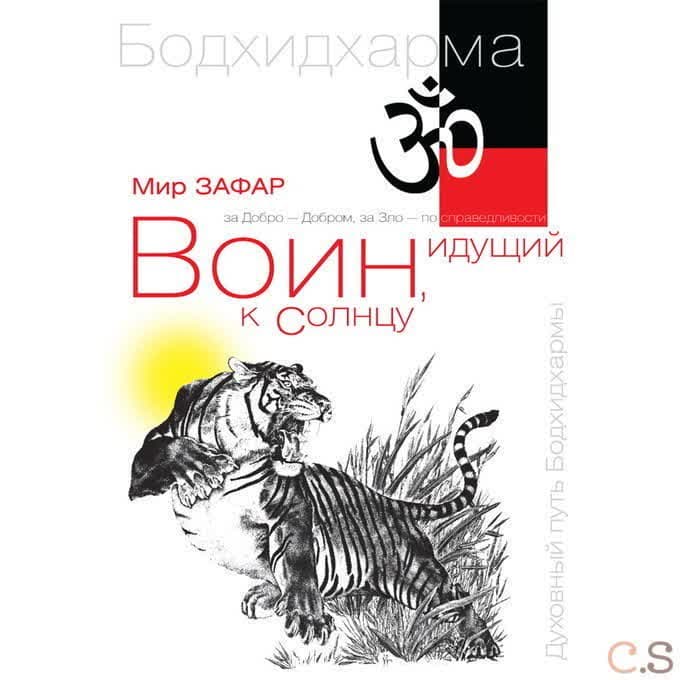 Воин, идущий к солнцу. Индия. Реки и горы Бодхидхармы. Книга 1