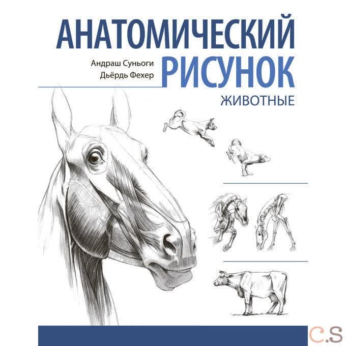 Анатомический рисунок. .Животные. Суньоги А.