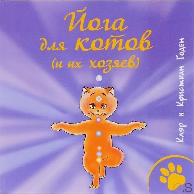 Йога для котов (и их хозяев)