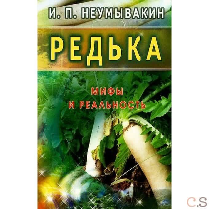 Редька