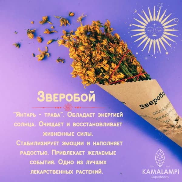 Зверобой скрутка для окуривания, Kamalampi