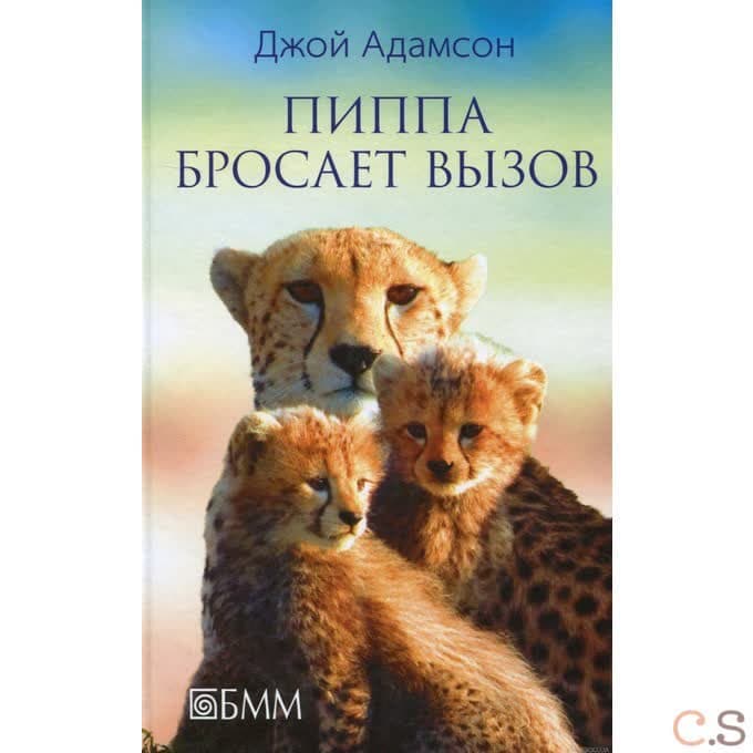 Пиппа бросает вызов