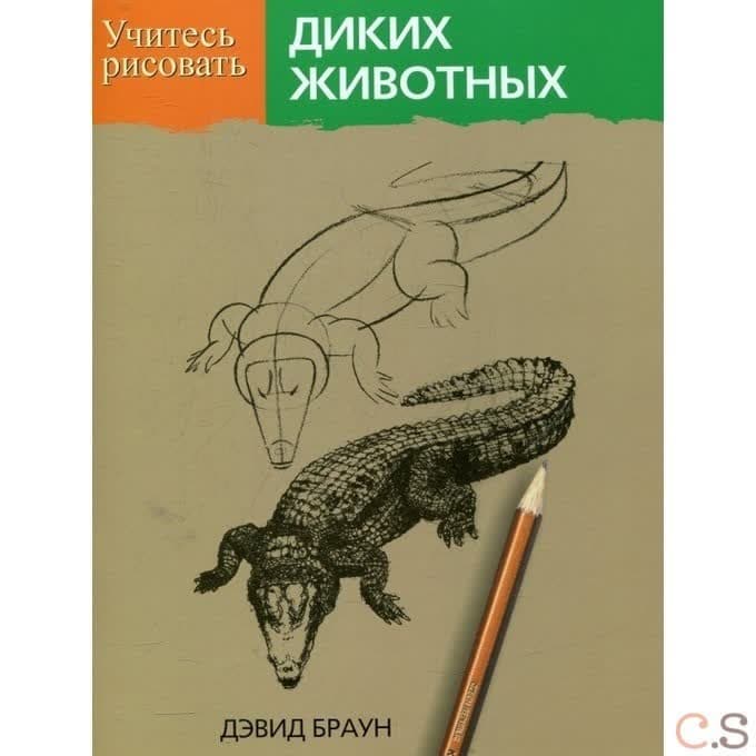 Учитесь рисовать диких животных