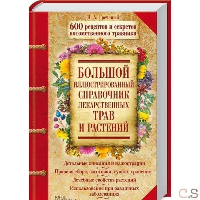 Большой иллюстрированный справочник лекарственных трав и растений. 600 рецептов травника