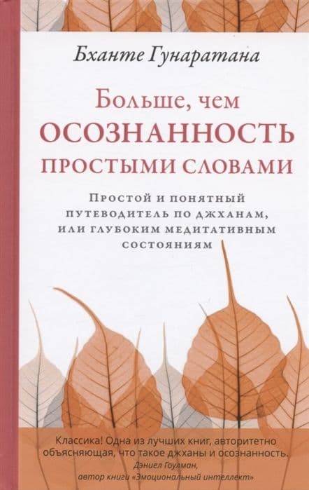 Больше, чем осознанность простыми словами. Простой и понятный путеводитель по джханам