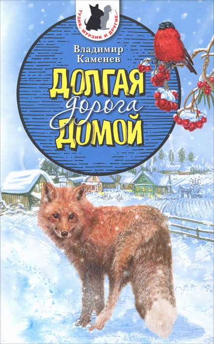 Долгая дорога домой
