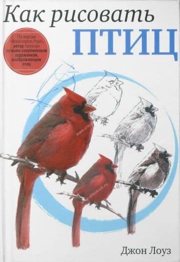 Как рисовать птиц