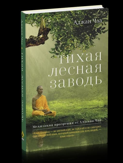 Тихая лесная заводь. Медитация прозрения от Аджана Чаа