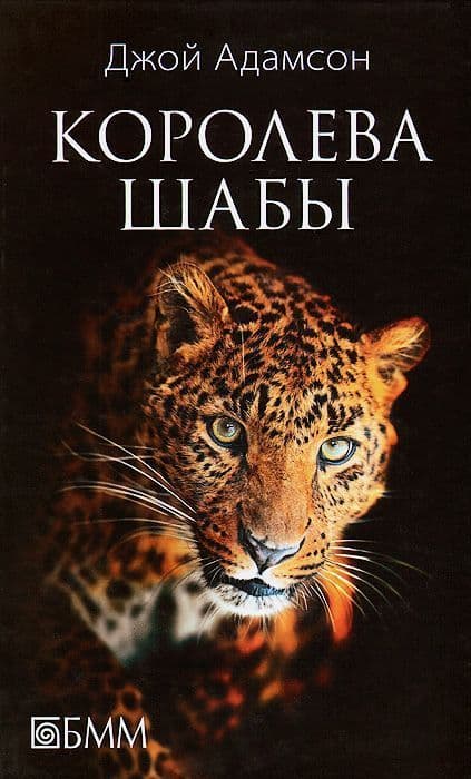 Королева Шабы