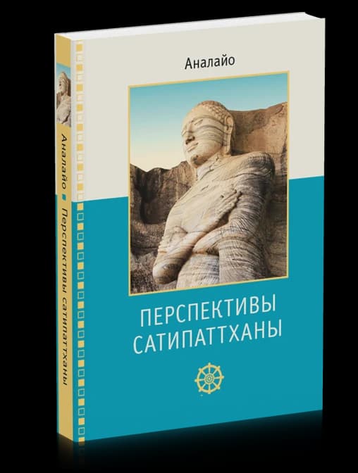 Перспективы Сатипаттханы